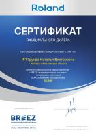 Roland RDI-WZ24HSS/N1